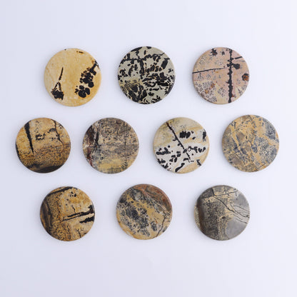 Picture Jasper Discs Set of 10 - Expert Wholesale and Supplier of Wholesale Crystals & Bulk Gemstones, ["China","Picture Jasper","Round"]