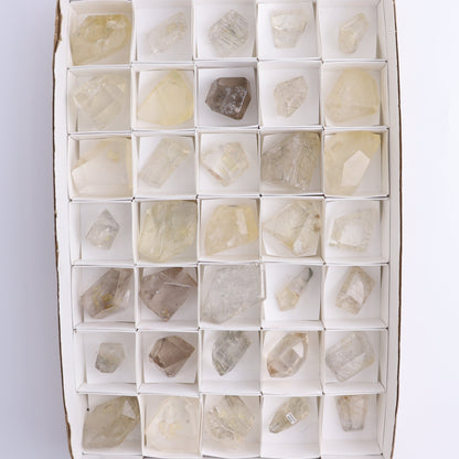 Quartz with Inclusions Feeforms Set of 35