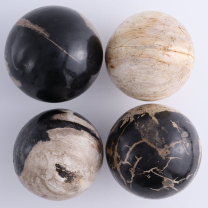Petrified Wood Spheres Set of 4 - Expert Wholesale and Supplier of Wholesale Crystals & Bulk Gemstones, ["Indonesia","Petrified Wood","Spheres"]
