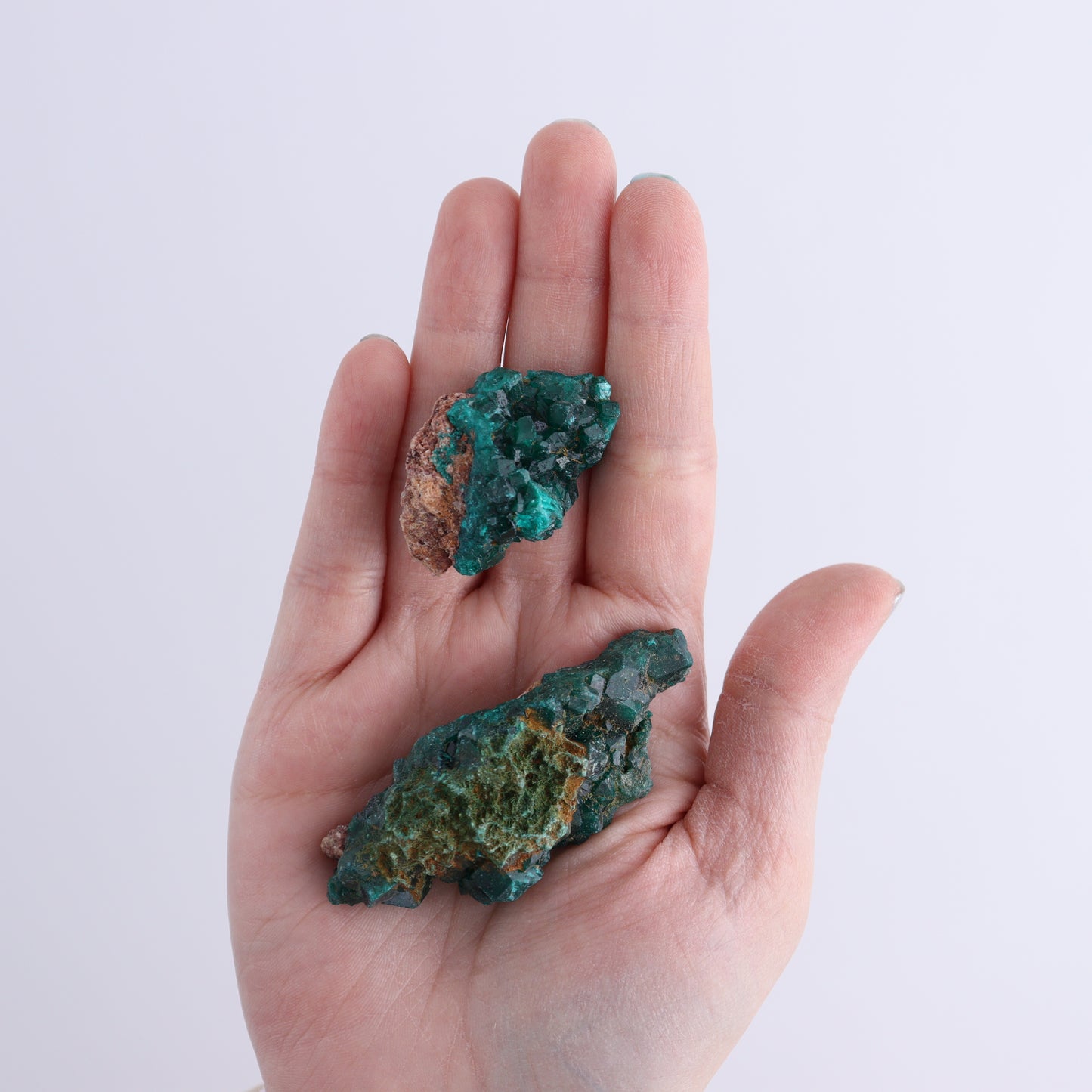 Dioptase Set of 19 - Expert Wholesale and Supplier of Wholesale Crystals & Bulk Gemstones, ["dioptase","Freeform","Freeforms"]