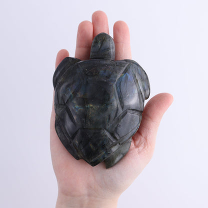 Labradorite Turtles Set of 5