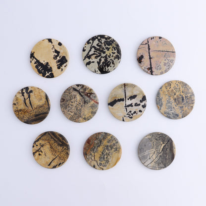 Picture Jasper Discs Set of 10 - Expert Wholesale and Supplier of Wholesale Crystals & Bulk Gemstones, ["China","Picture Jasper","Round"]