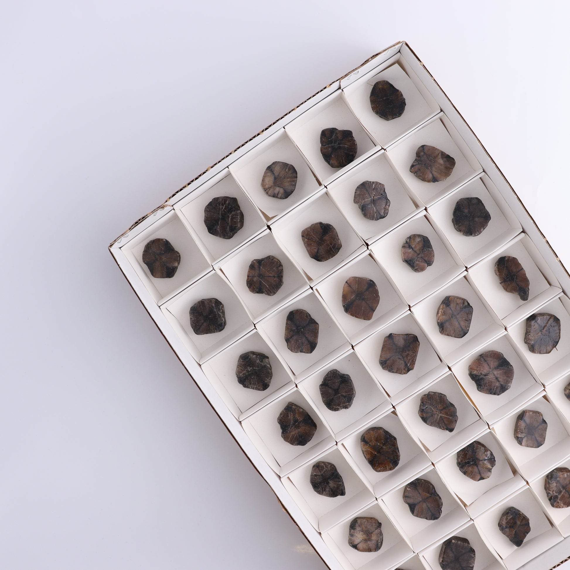 Chiastolite Flat of 35 - Expert Wholesale and Supplier of Wholesale Crystals & Bulk Gemstones, ["chiastolite","China","flat","Flats"]