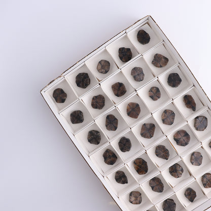 Chiastolite Flat of 35 - Expert Wholesale and Supplier of Wholesale Crystals & Bulk Gemstones, ["chiastolite","China","flat","Flats"]