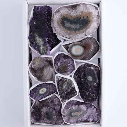 Uruguay Amethyst Clusters with "Eyes" Flat of 10 - Expert Wholesale and Supplier of Wholesale Crystals & Bulk Gemstones, []