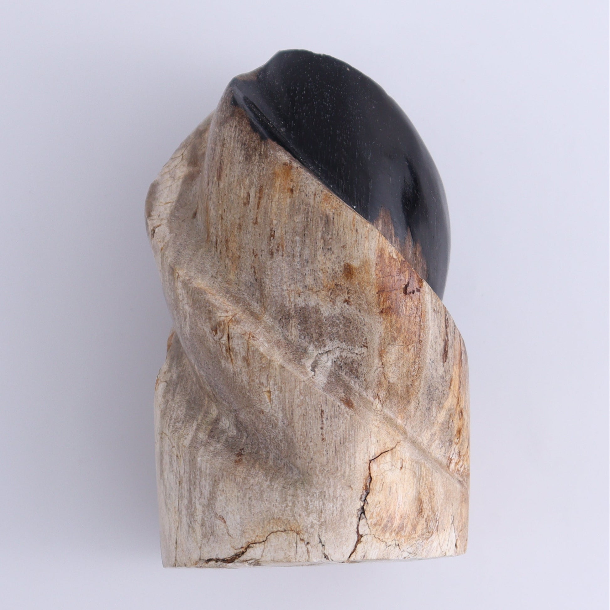 Petrified Wood Flames Set of 4 - Expert Wholesale and Supplier of Wholesale Crystals & Bulk Gemstones, ["Indonesia","Petrified Wood","Spheres"]