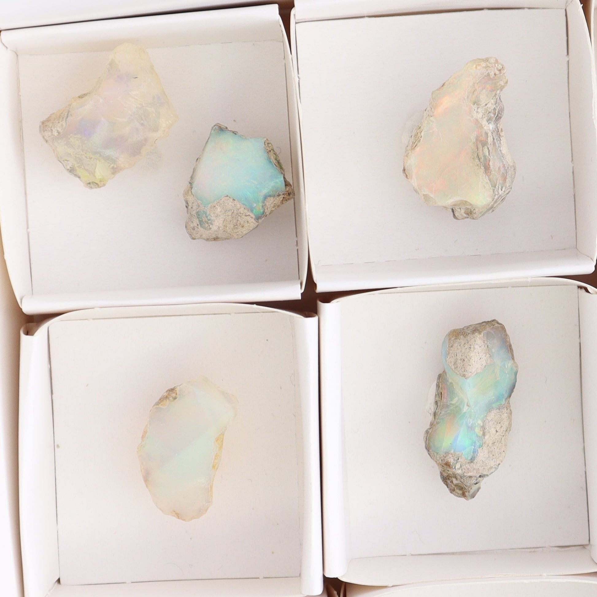Ethiopian Opal Set of 10 - Expert Wholesale and Supplier of Wholesale Crystals & Bulk Gemstones, ["Ethiopia","ethiopian opal","Opal"]