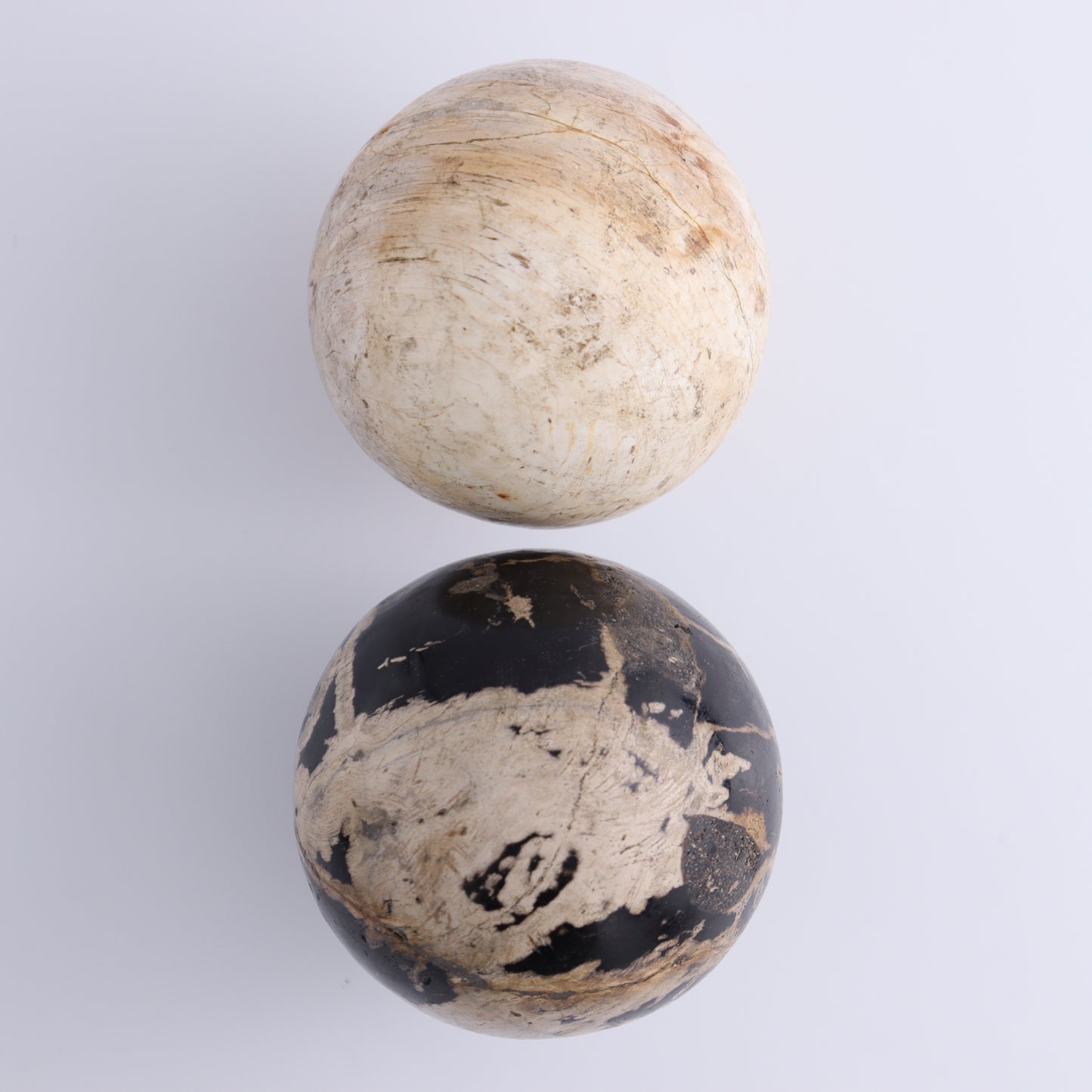 Petrified Wood Spheres Set of 4 - Expert Wholesale and Supplier of Wholesale Crystals & Bulk Gemstones, ["Indonesia","Petrified Wood","Spheres"]