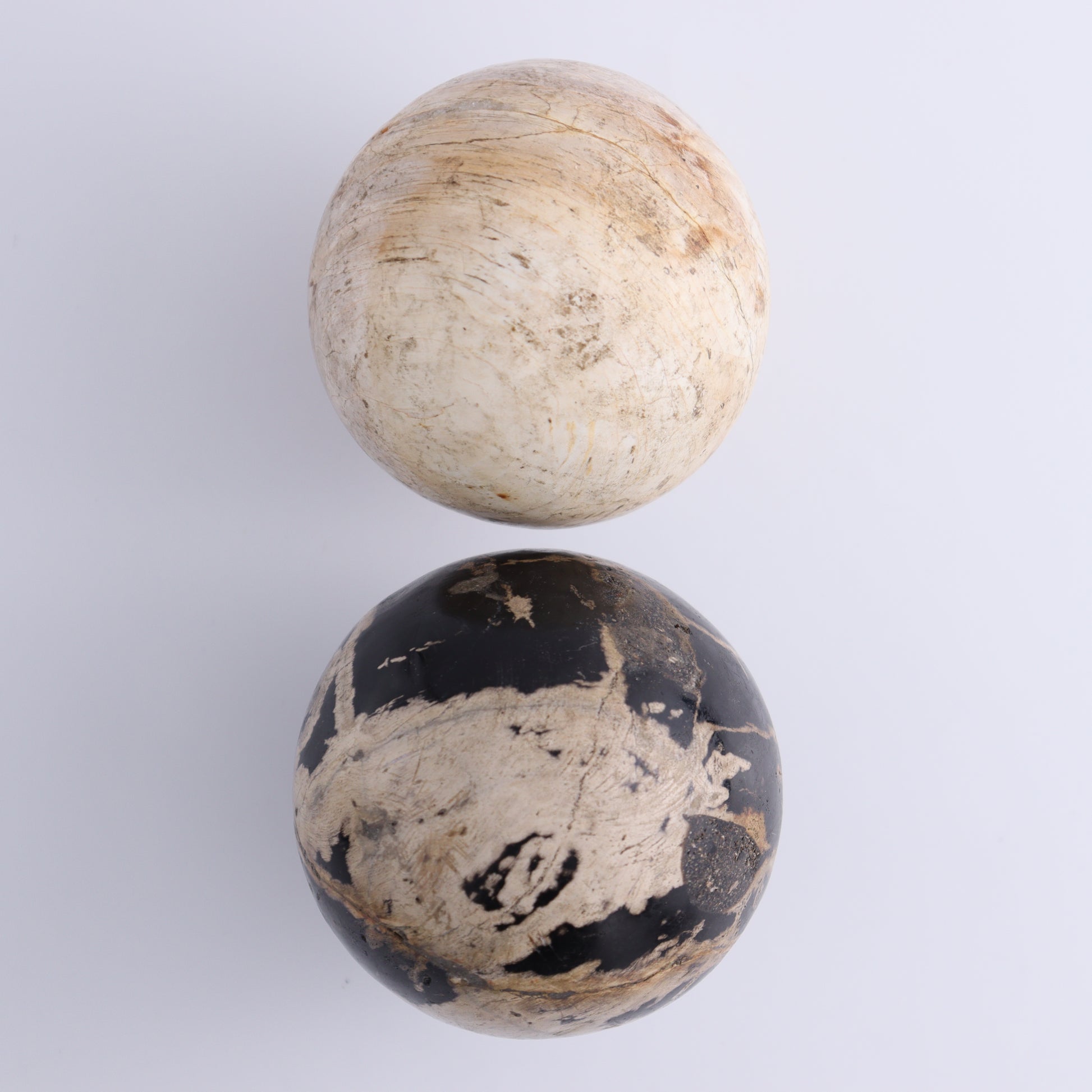 Petrified Wood Spheres Set of 4 - Expert Wholesale and Supplier of Wholesale Crystals & Bulk Gemstones, ["Indonesia","Petrified Wood","Spheres"]
