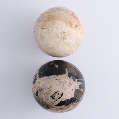 Petrified Wood Spheres Set of 4 - Expert Wholesale and Supplier of Wholesale Crystals & Bulk Gemstones, ["Indonesia","Petrified Wood","Spheres"]