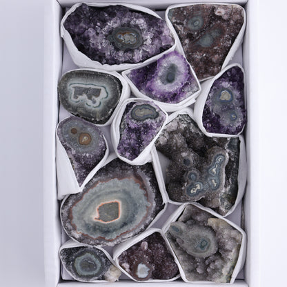 Uruguay Amethyst Clusters with "Eyes" Flat of 12 - Expert Wholesale and Supplier of Wholesale Crystals & Bulk Gemstones, ["Amethyst","Clusters","Eyes Amethyst","Uruguay"]