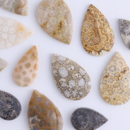 One Fossil Coral Teardrop Cab - Expert Wholesale and Supplier of Wholesale Crystals & Bulk Gemstones, ["Cabs","fossil coral","Teardrop"]