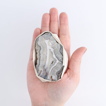 Crazy Lace Agate Flat of 11