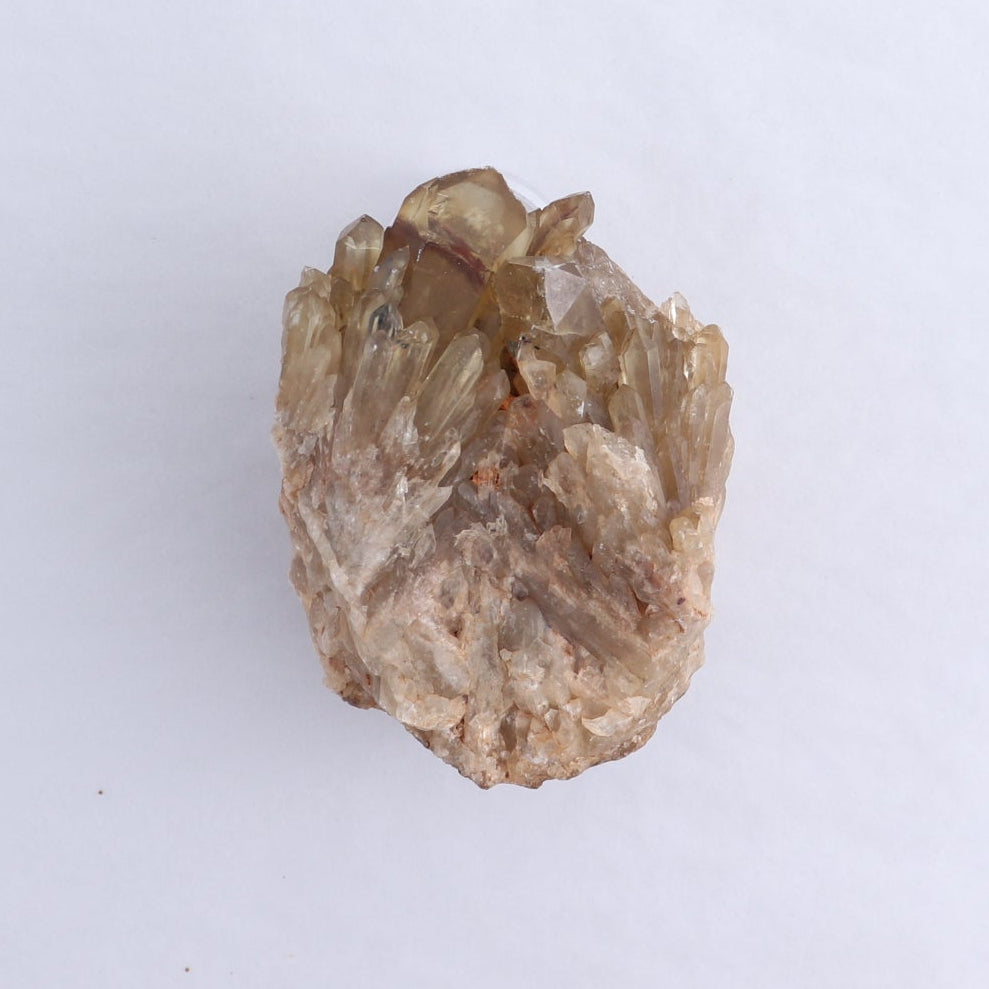 Congo Citrine Set of 6