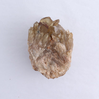 Congo Citrine Set of 6