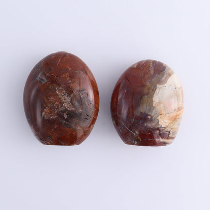 Petrified Wood Freeforms Set of 5 - Expert Wholesale and Supplier of Wholesale Crystals & Bulk Gemstones, ["Freeform","Freeforms","Madagascar","Petrified Wood"]