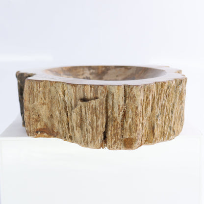 Petrified Wood Bowls Set of 2 - Expert Wholesale and Supplier of Wholesale Crystals & Bulk Gemstones, ["Bowls","Indonesia","Petrified Wood"]