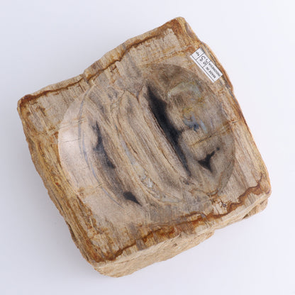 Petrified Wood Bowls Set of 2 - Expert Wholesale and Supplier of Wholesale Crystals & Bulk Gemstones, ["Bowls","Indonesia","Petrified Wood"]
