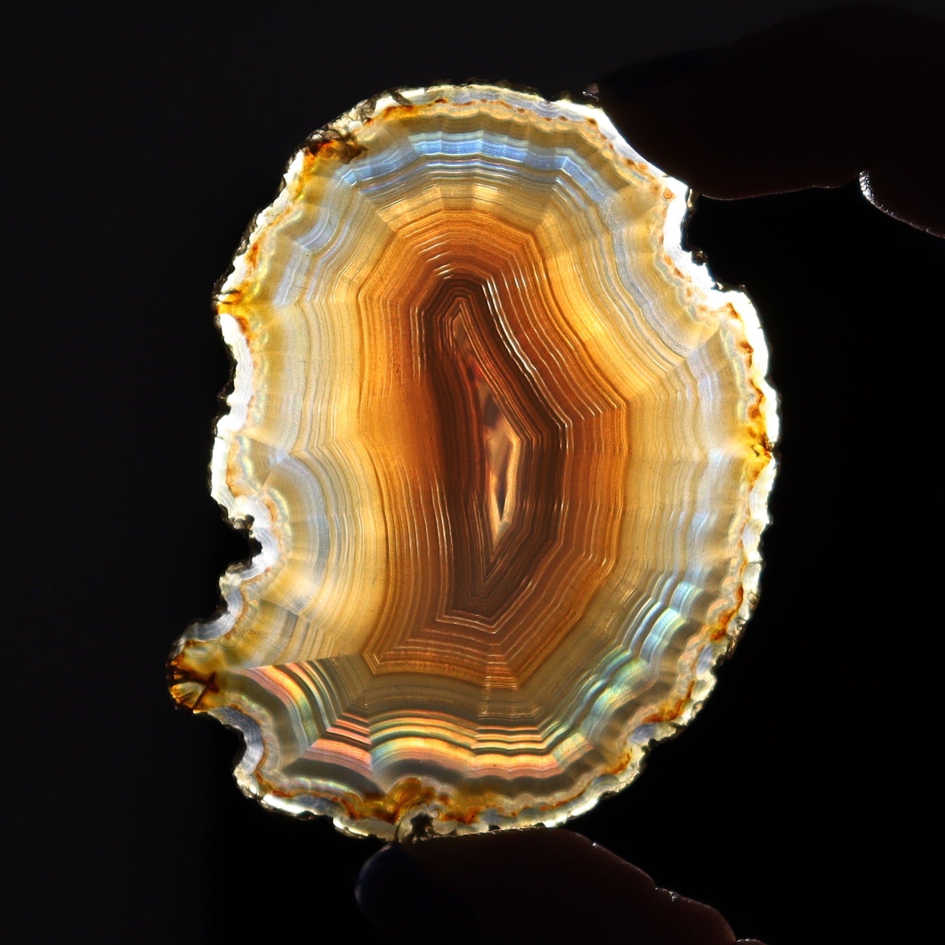 Iris Agate Slices Set of 7 - Expert Wholesale and Supplier of Wholesale Crystals & Bulk Gemstones, ["Agate","Iris Agate","Slices and Slabs"]