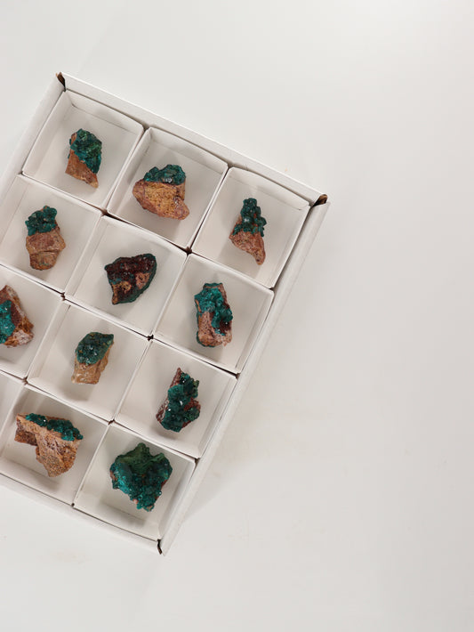 Dioptase Flat Set of 12