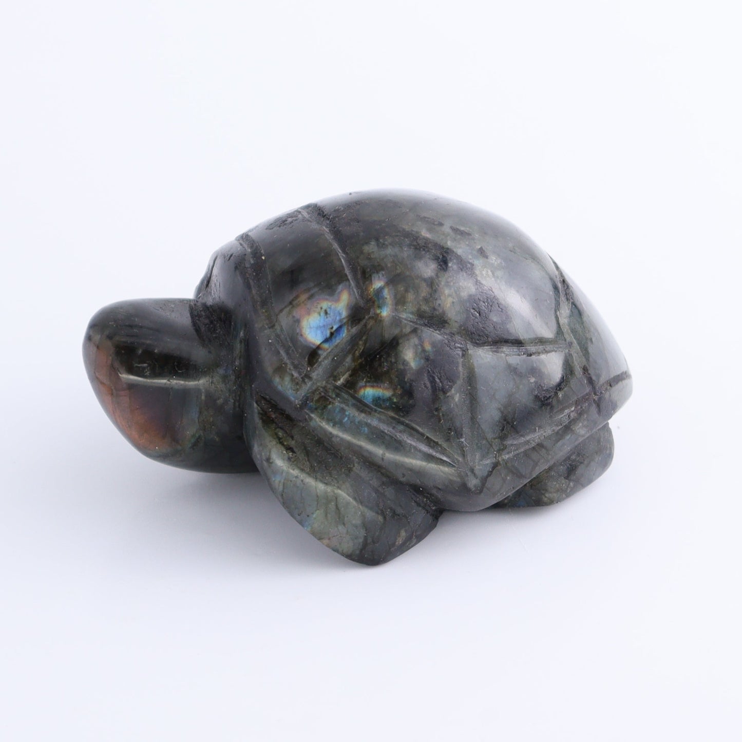 Labradorite Turtles Set of 4 - Expert Wholesale and Supplier of Wholesale Crystals & Bulk Gemstones, ["Labradorite","Madagascar","turtle","Turtles"]