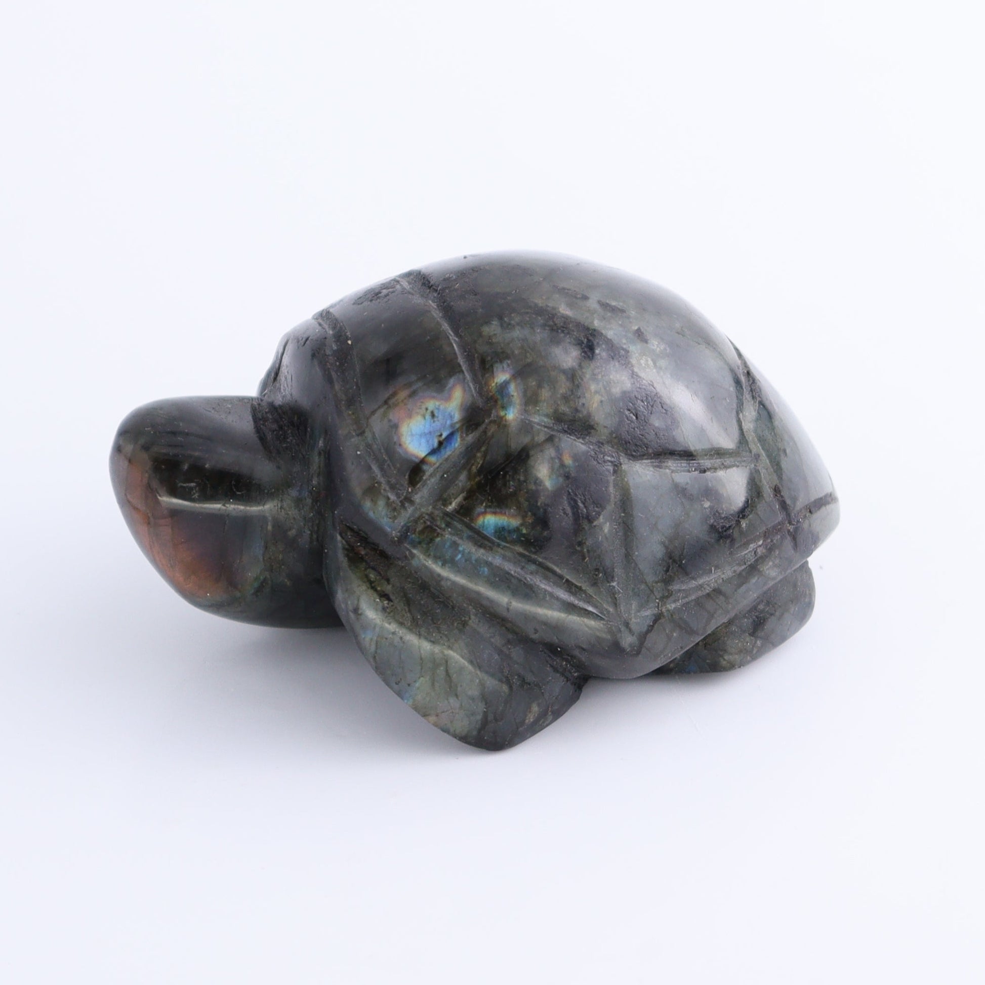 Labradorite Turtles Set of 4 - Expert Wholesale and Supplier of Wholesale Crystals & Bulk Gemstones, ["Labradorite","Madagascar","turtle","Turtles"]