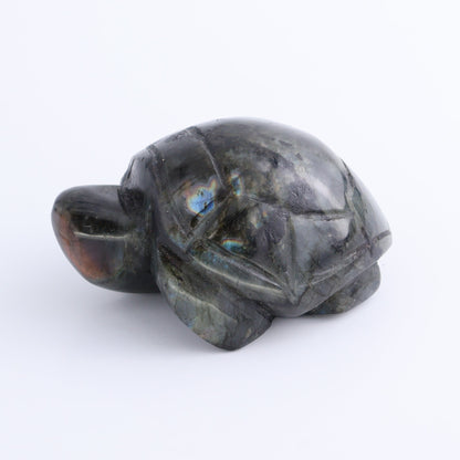 Labradorite Turtles Set of 4 - Expert Wholesale and Supplier of Wholesale Crystals & Bulk Gemstones, ["Labradorite","Madagascar","turtle","Turtles"]