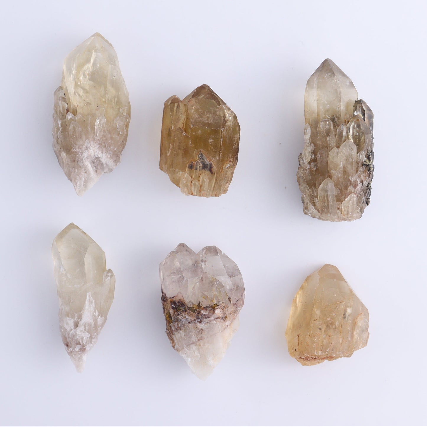 Congo Citrine Set of 12 - Expert Wholesale and Supplier of Wholesale Crystals & Bulk Gemstones, ["Citrine","Congo","Rough","Roughs"]