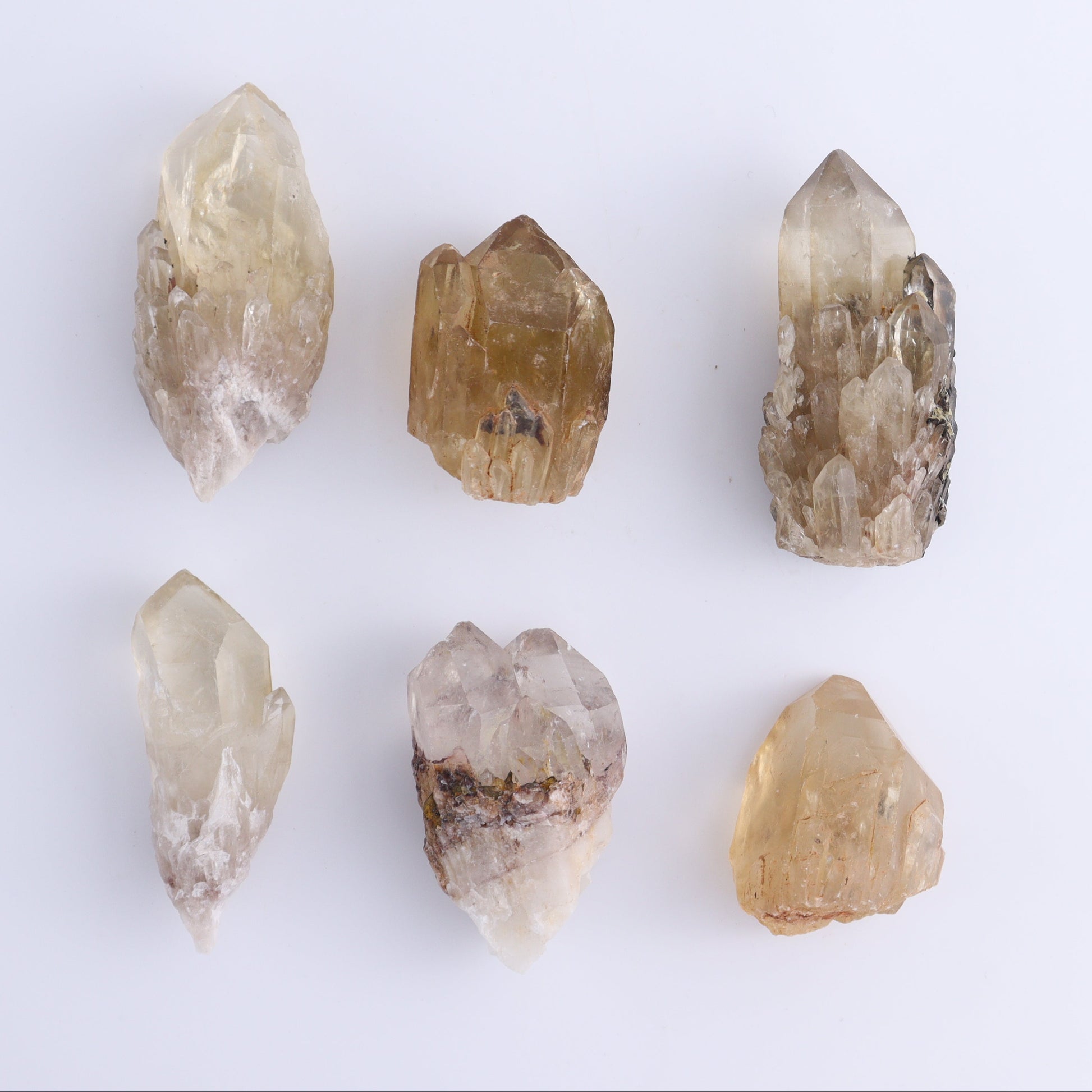 Congo Citrine Set of 12 - Expert Wholesale and Supplier of Wholesale Crystals & Bulk Gemstones, ["Citrine","Congo","Rough","Roughs"]