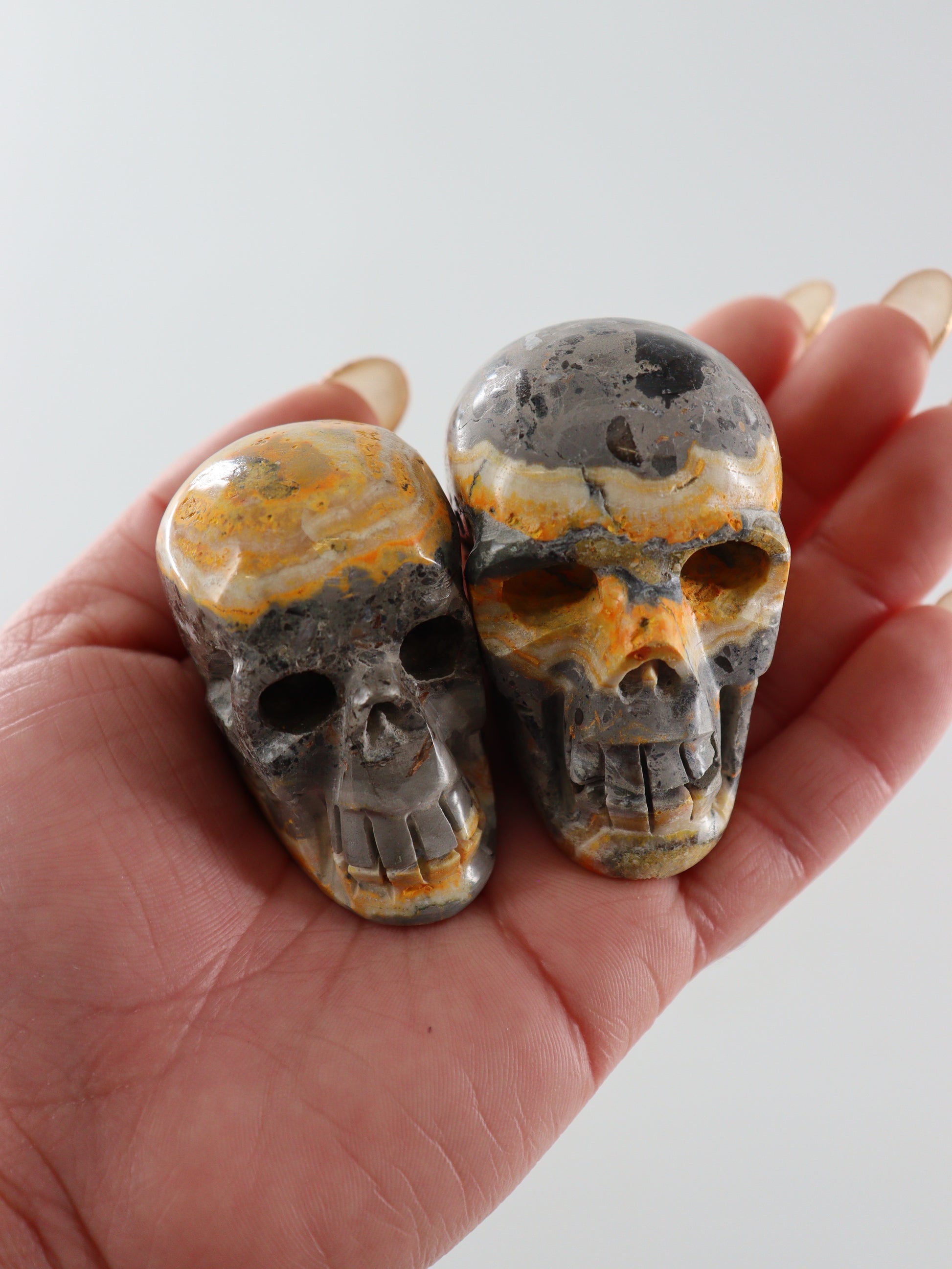 Bumblebee Jasper Skulls Set of 5 - Expert Wholesale and Supplier of Wholesale Crystals & Bulk Gemstones, []