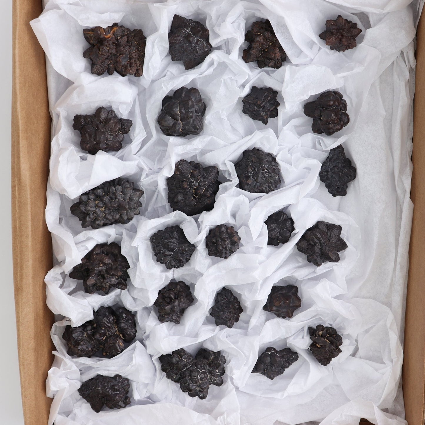 Egyptian Prophecy Stones Flat of 25