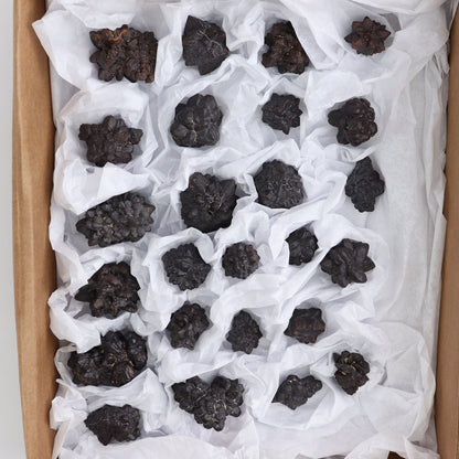 Egyptian Prophecy Stones Flat of 25