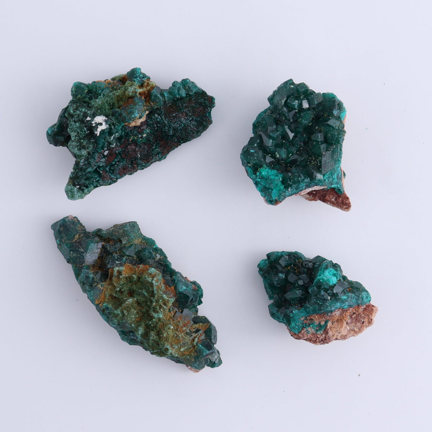 Dioptase Set of 19 - Expert Wholesale and Supplier of Wholesale Crystals & Bulk Gemstones, ["dioptase","Freeform","Freeforms"]