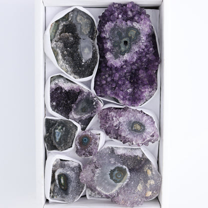 Uruguay Amethyst Clusters with "Eyes" Flat of 8 - Expert Wholesale and Supplier of Wholesale Crystals & Bulk Gemstones, ["Amethyst","Amethyst Eyes","Clusters","Uruguay"]