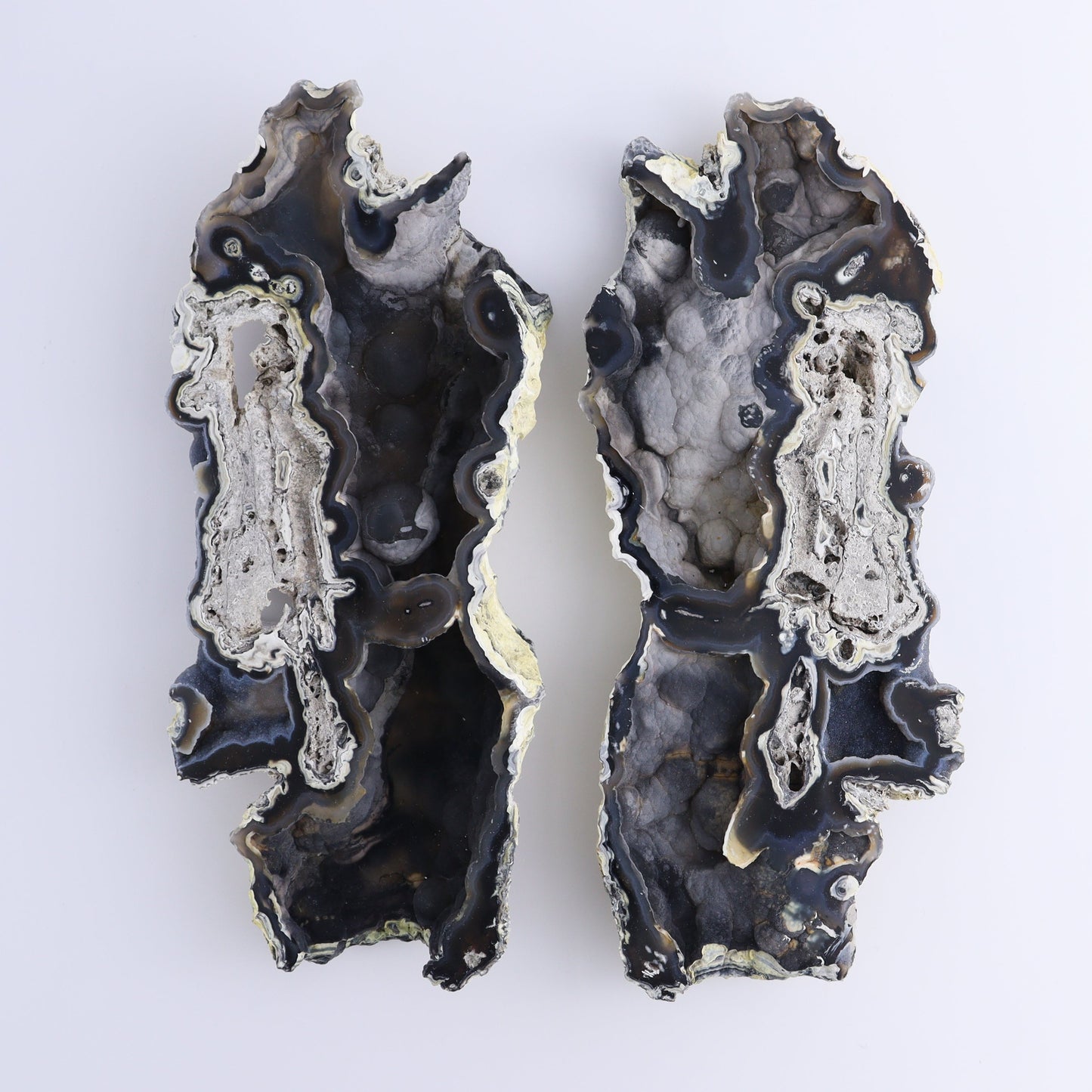Agatized Coral Flat - Expert Wholesale and Supplier of Wholesale Crystals & Bulk Gemstones, ["Agate","Agatized Coral","Coral","United States"]