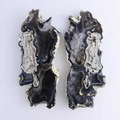 Agatized Coral Flat - Expert Wholesale and Supplier of Wholesale Crystals & Bulk Gemstones, ["Agate","Agatized Coral","Coral","United States"]