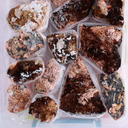 Cerussite Barite from Morocco Flat *sold - Expert Wholesale and Supplier of Wholesale Crystals & Bulk Gemstones, ["Barite","Cerussite Barite","Clusters","Flats","Morocco"]