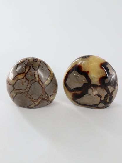 Septarian Freeforms Set of 6 - Expert Wholesale and Supplier of Wholesale Crystals & Bulk Gemstones, []