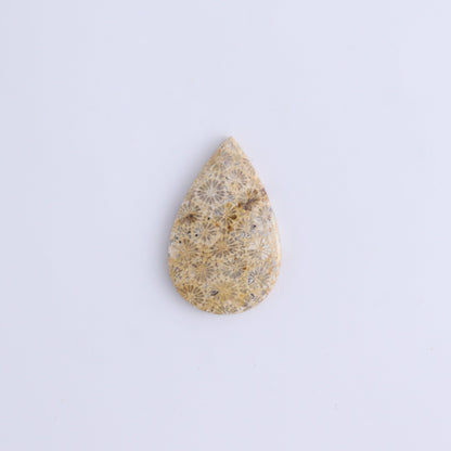 One Fossil Coral Teardrop Cab - Expert Wholesale and Supplier of Wholesale Crystals & Bulk Gemstones, ["Cabs","fossil coral","Teardrop"]