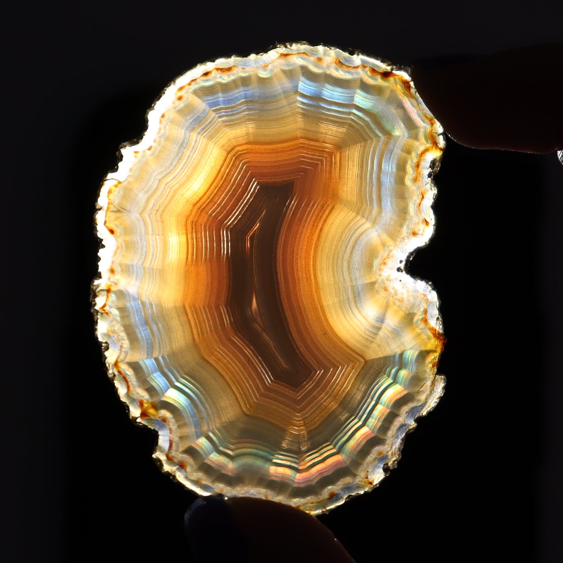 Iris Agate Slices Set of 7 - Expert Wholesale and Supplier of Wholesale Crystals & Bulk Gemstones, ["Agate","Iris Agate","Slices and Slabs"]
