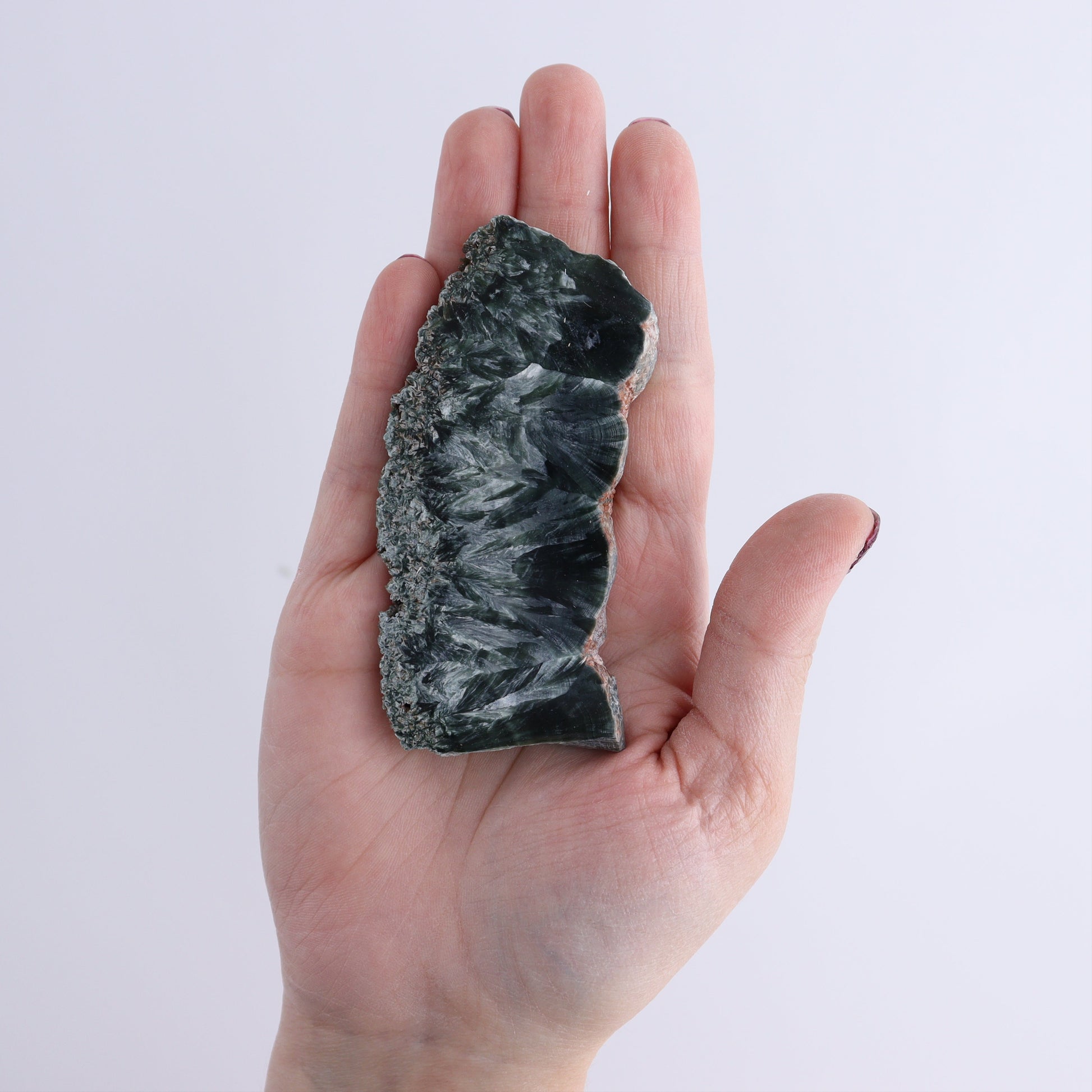 Seraphinite Slices Set of 12 - Expert Wholesale and Supplier of Wholesale Crystals & Bulk Gemstones, ["Russia","Seraphinite","Slices and Slabs"]