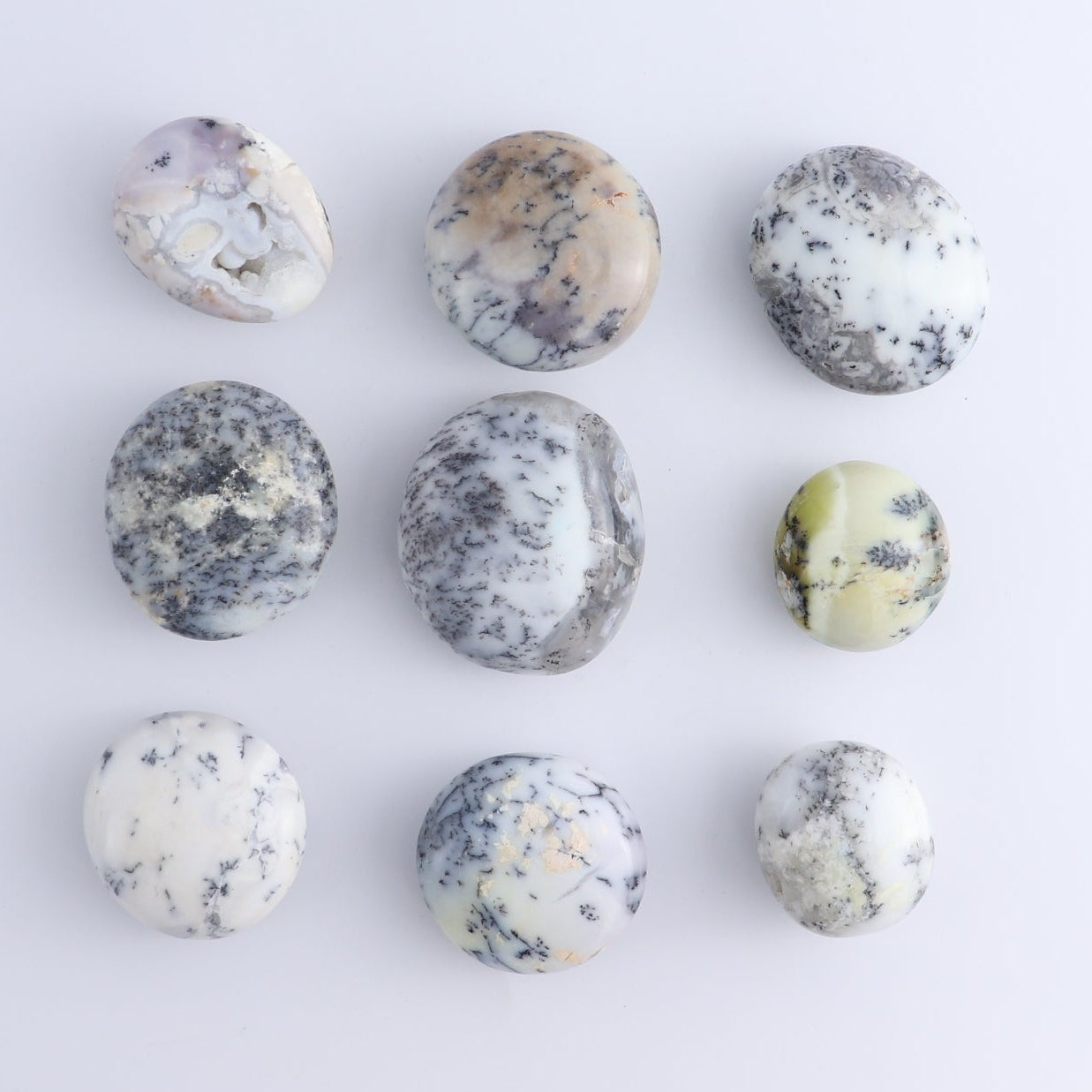 One Denditic Agate Palm Stones 1 kg Set