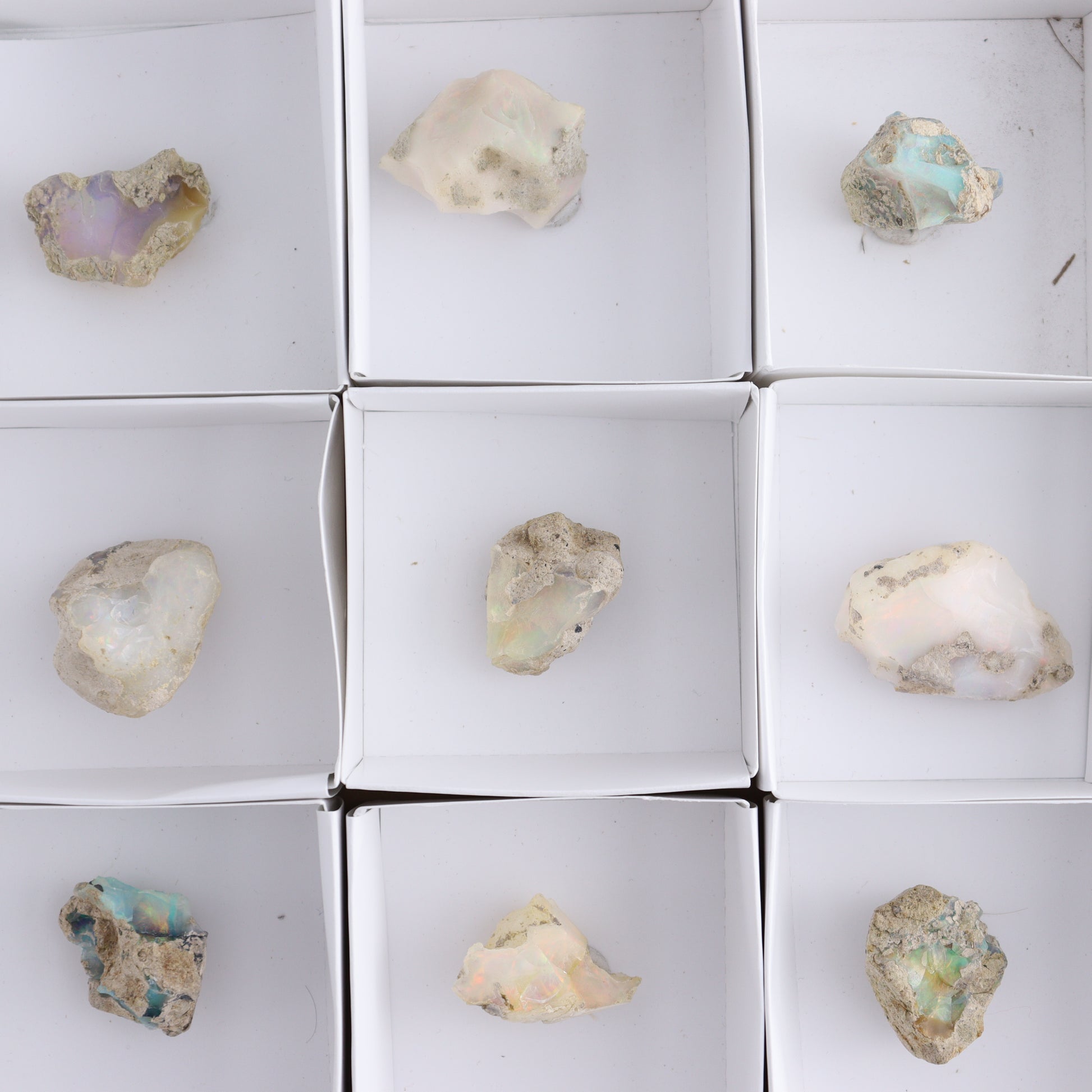 Ethiopian Opal Set of 12 - Expert Wholesale and Supplier of Wholesale Crystals & Bulk Gemstones, ["Ethiopia","ethiopian opal","Opal"]