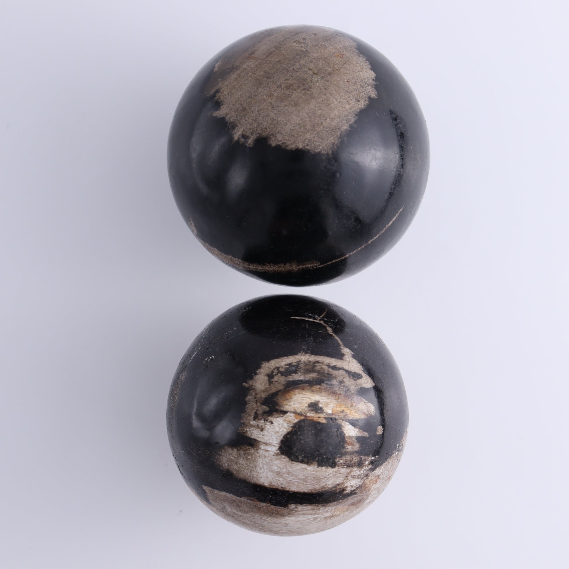 Petrified Wood Spheres Set of 4 - Expert Wholesale and Supplier of Wholesale Crystals & Bulk Gemstones, ["Indonesia","Petrified Wood","Spheres"]
