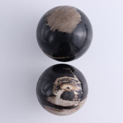 Petrified Wood Spheres Set of 4 - Expert Wholesale and Supplier of Wholesale Crystals & Bulk Gemstones, ["Indonesia","Petrified Wood","Spheres"]