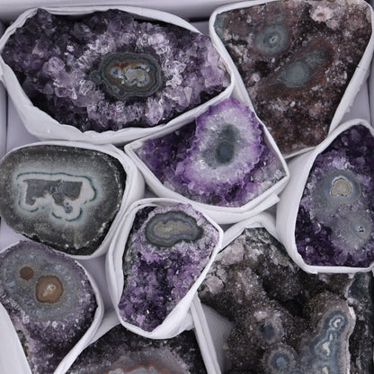 Uruguay Amethyst Clusters with "Eyes" Flat of 12 - Expert Wholesale and Supplier of Wholesale Crystals & Bulk Gemstones, ["Amethyst","Clusters","Eyes Amethyst","Uruguay"]