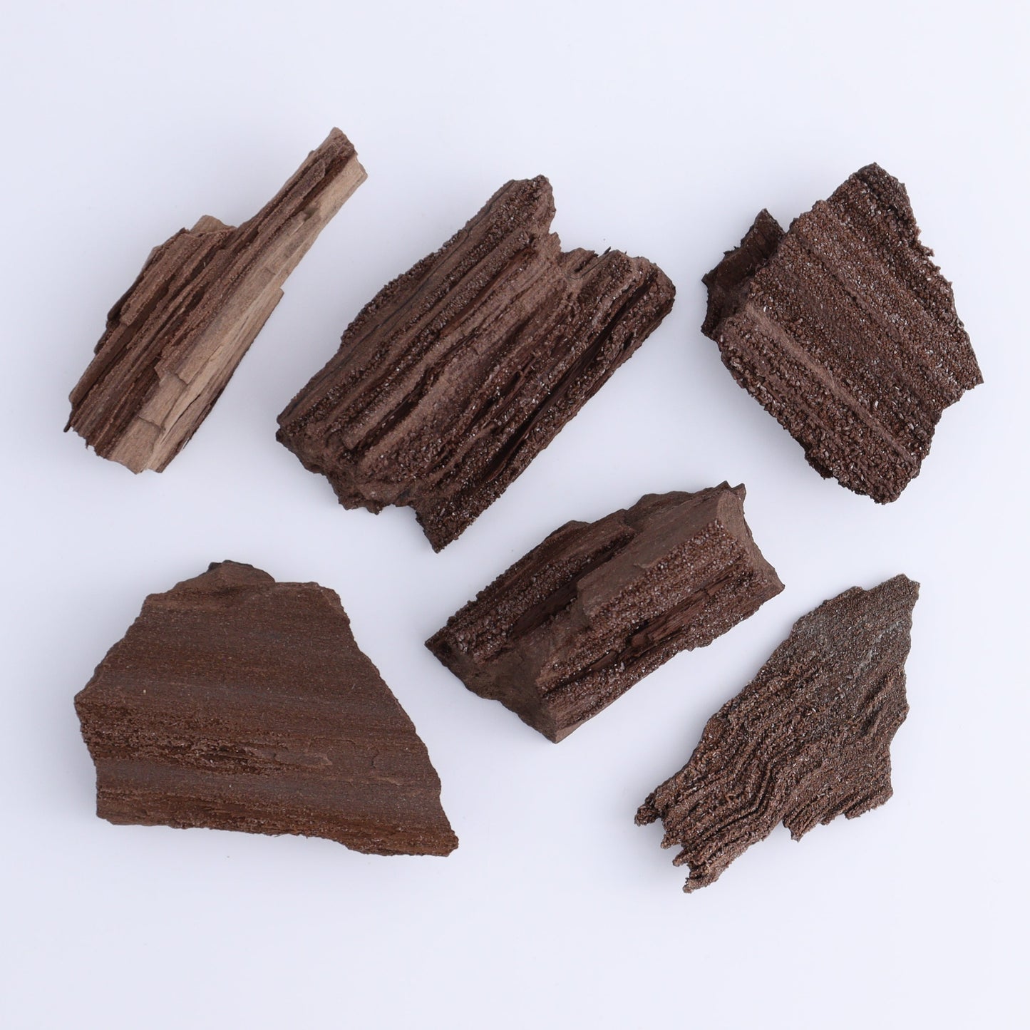 Permineralized Wood Flat of 24 - Expert Wholesale and Supplier of Wholesale Crystals & Bulk Gemstones, ["Flats","Germany","Permineralized Wood"]