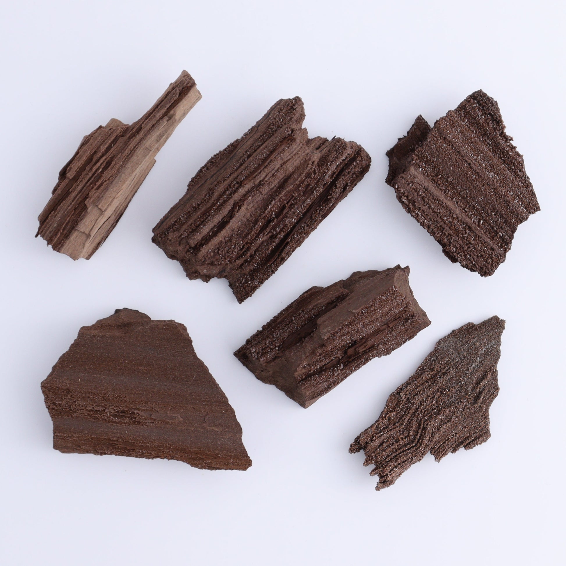 Permineralized Wood Flat of 24 - Expert Wholesale and Supplier of Wholesale Crystals & Bulk Gemstones, ["Flats","Germany","Permineralized Wood"]