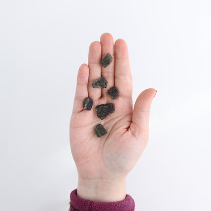 Moldavite Pieces Set of 6