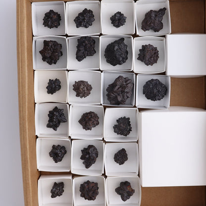 Egyptian Prophecy Stones Flat of 21